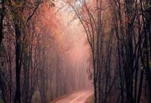 开云APP-撒丁岛雄鹰亮铁翼！卡利亚里客场掀翻巨人，稳定如磐石直指王座