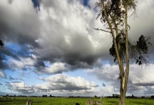 开云体育中国-帕尔梅拉斯主场优势助力，准备迎接挑战