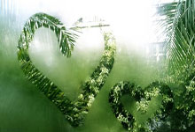 开云APP-雷恩铁盾构筑冠军之路！深度解码防守革命如何扭转乾坤