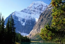 开云体育下载-绿茵燃情：沃特福德球员破门狂欢，启程荣耀新征程