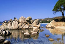 开云APP-撒丁岛雄鹰亮铁翼！卡利亚里客场掀翻巨人，稳定如磐石直指王座