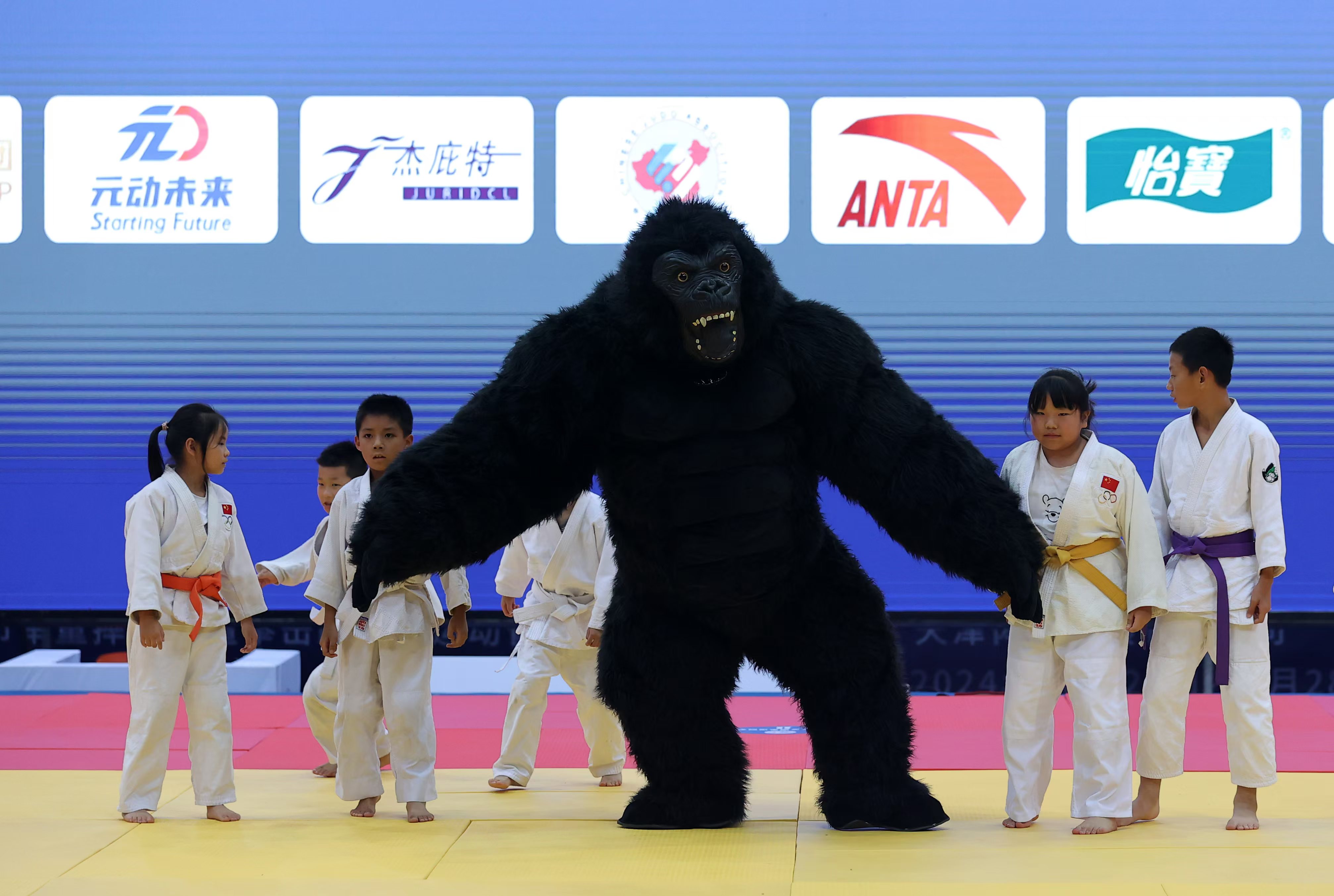 擂台上的对决：柔道选手向冠军冲刺的简单介绍