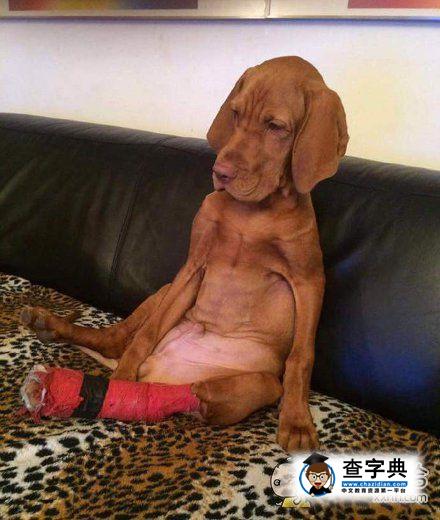 开云体育在线-查当年受伤或不受伤手沿着灼伤被红牌